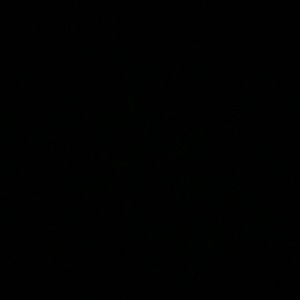 Meet your Posher, Nora